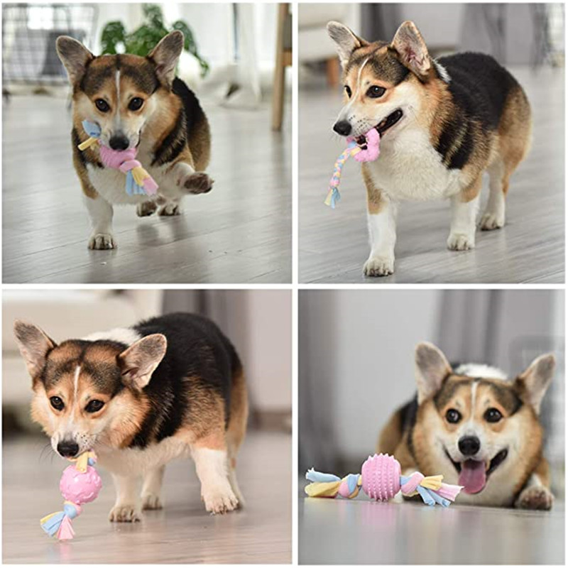 3pcs Dog Rope Toys Puppy Toys (2)