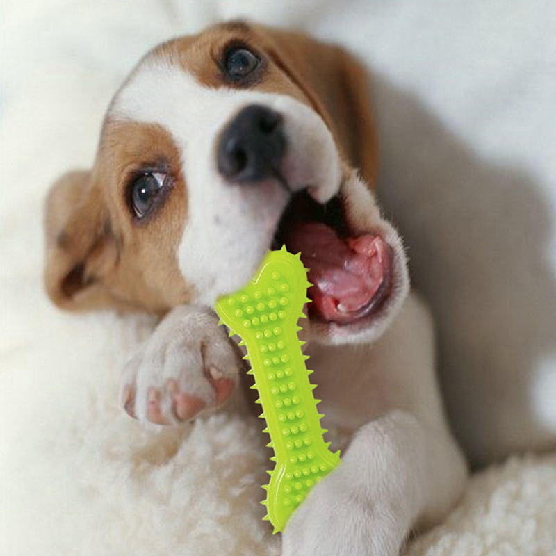 Dog Molar Teeth Chewing Pet Supplies (2)