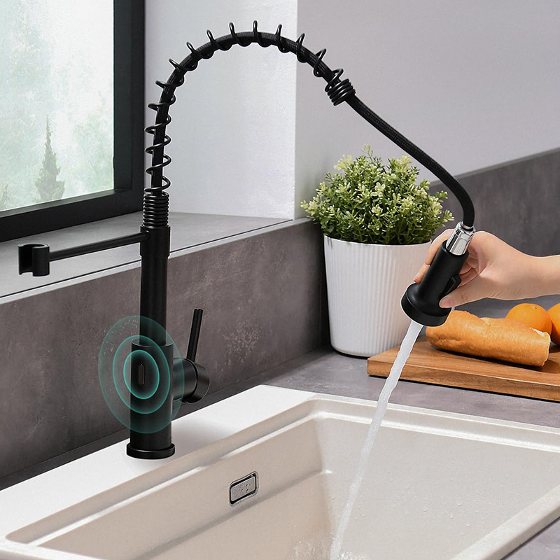 Handle Pull Down Sprayer Spring Kitchen Sink Faucet (2)