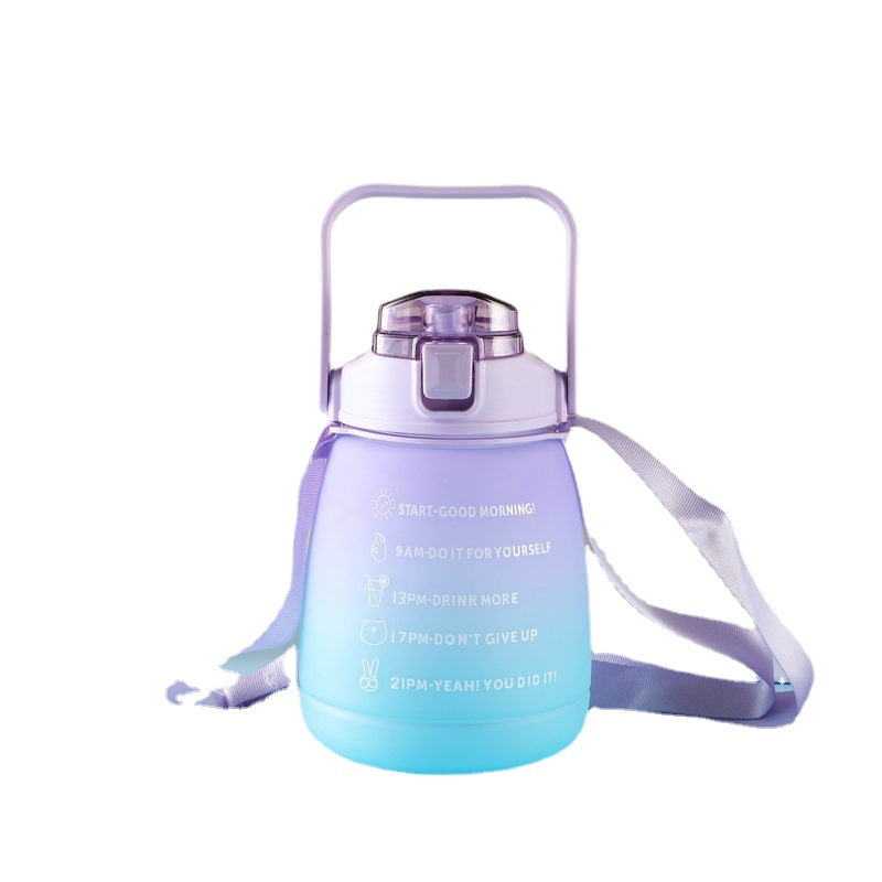 Simple Frosted Gradient Color Big Belly Cup (1)