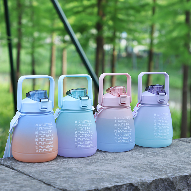 Simple Frosted Gradient Color Big Belly Cup Simple Frosted Gradient Color Big Belly Cup