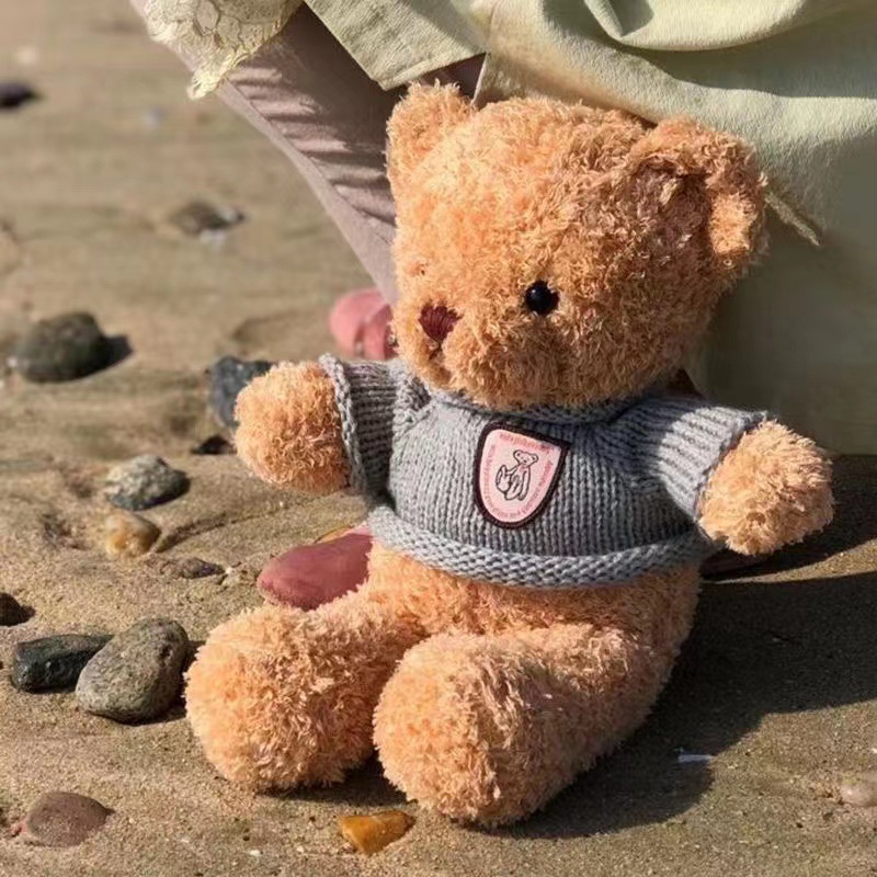Teddy Bear Animal Toy Healing Atmosphere Comfortable Washable (3) Teddy Bear Animal Toy Healing Atmosphere Comfortable Washable (3)