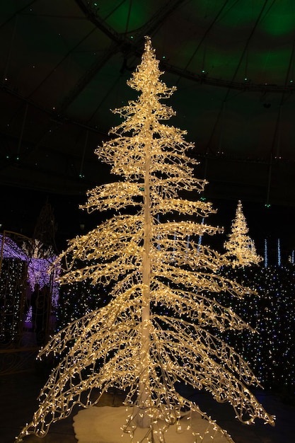 christmas tree merry christmas 842717 6640
