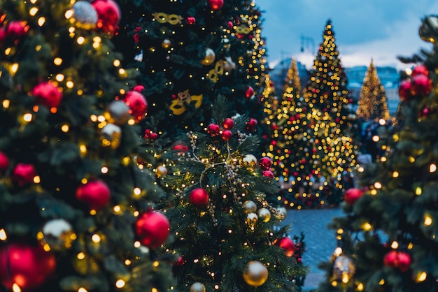 illuminated christmas tree night 1048944 15543380