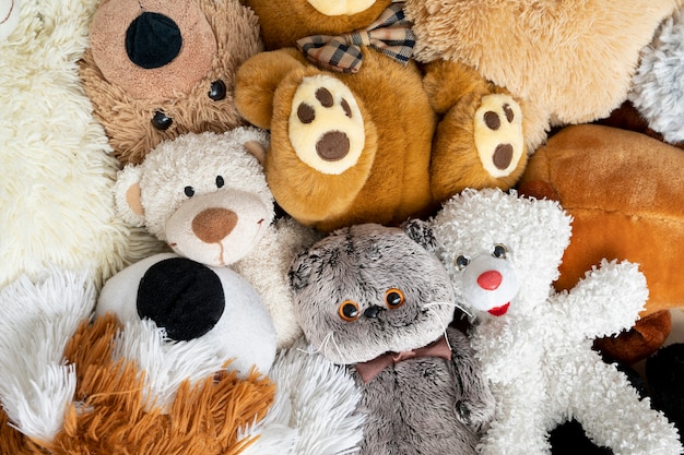Chinese Plush Toys