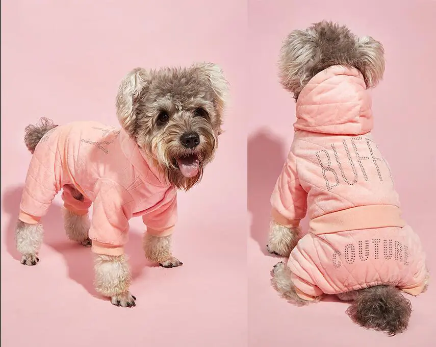Pet cloth