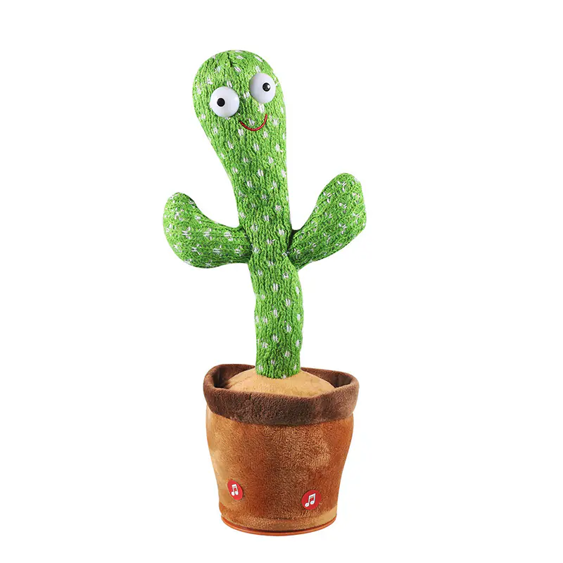 Dancing Cactus Wholesale Factory (1)