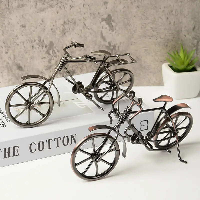 Bicycle model window home1
