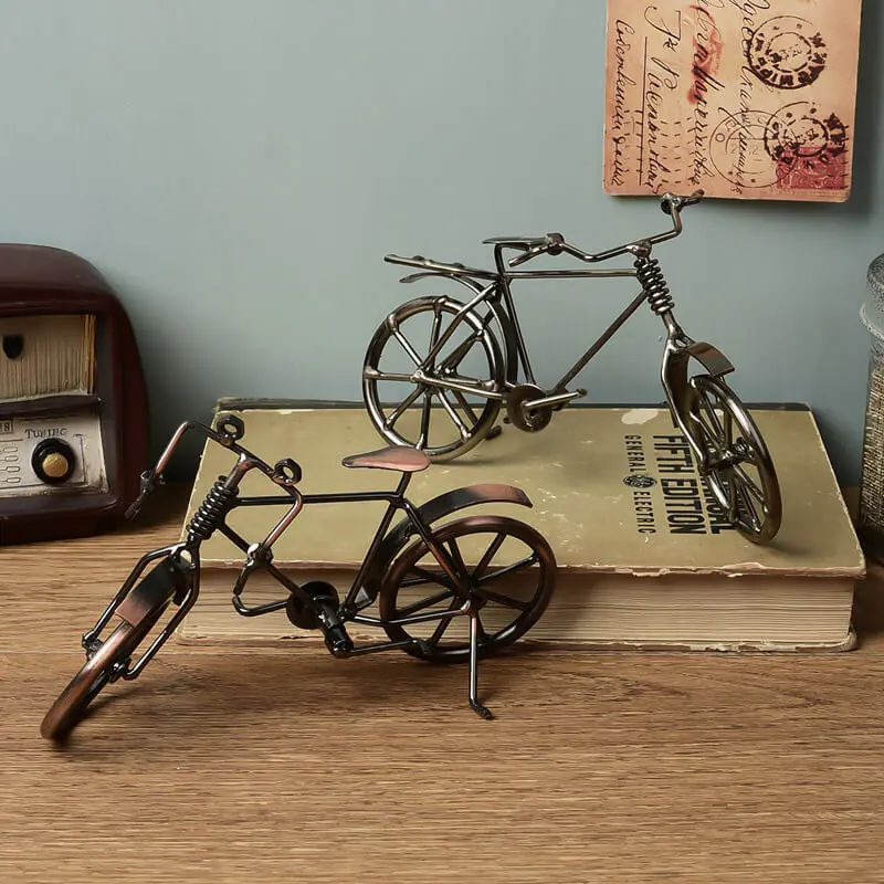 Bicycle model window home2