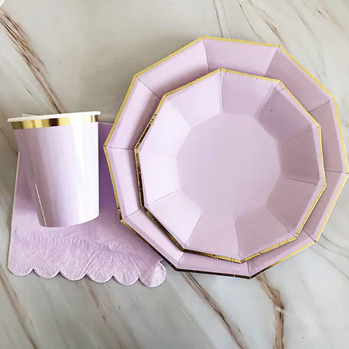 Disposable Party Decorative Dessert Plate suit(1)