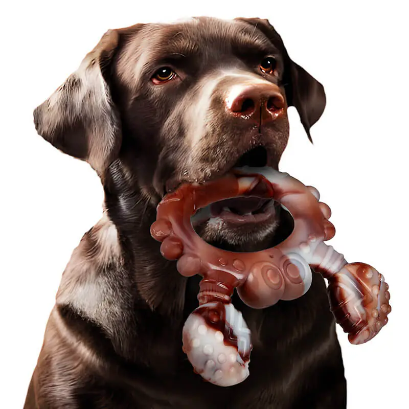 Durable nylon dog chew toy (1)