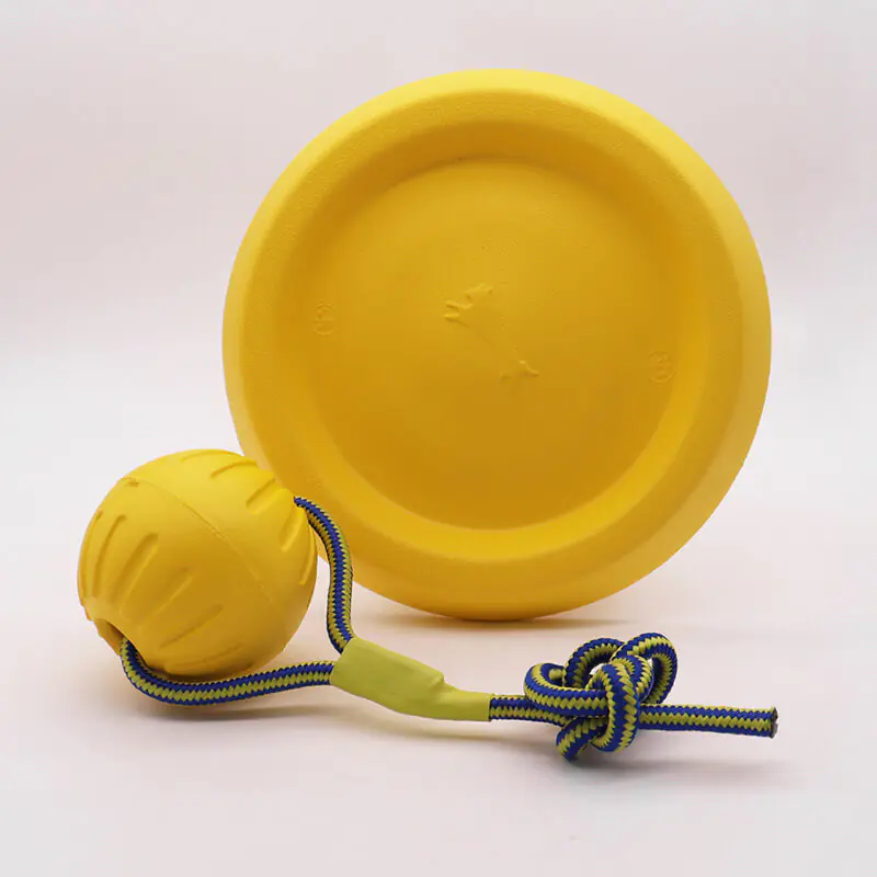 EVA Bite resistant Pet Frisbee Toy (2)