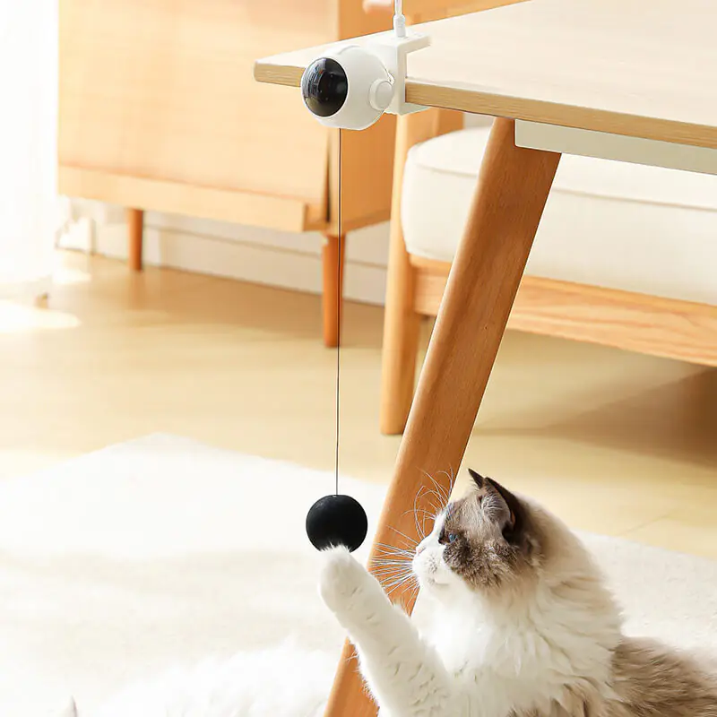 Juguete eléctrico para gatos con elevación automática, bola telescópica para gatos (2)