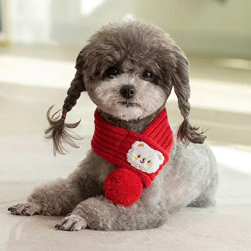 Pet knitted breathable scarf (3)