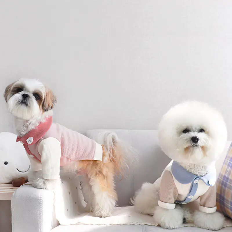 Small Canine Breathable Spring Clothe
