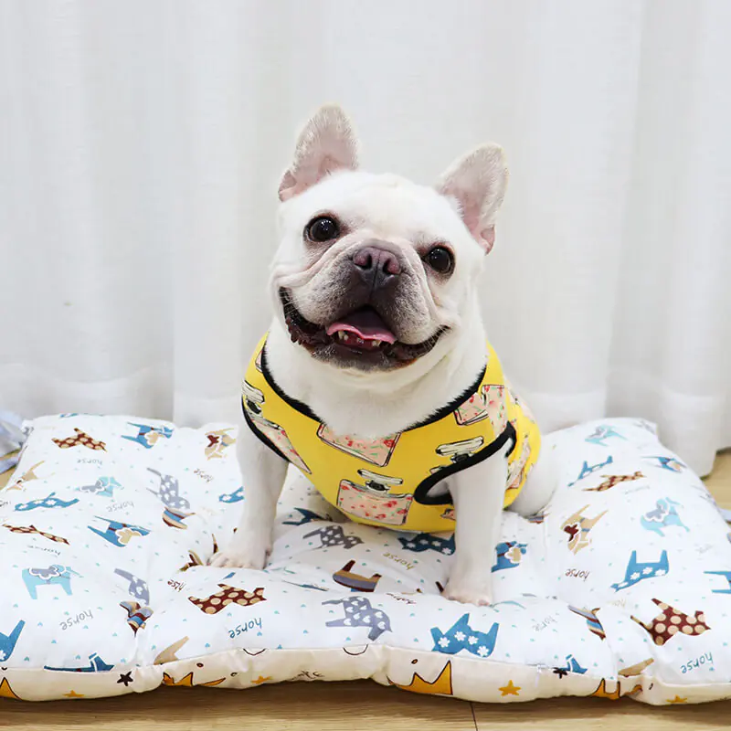 Summer heat relieving sunscreen breathable dog clothes (2)