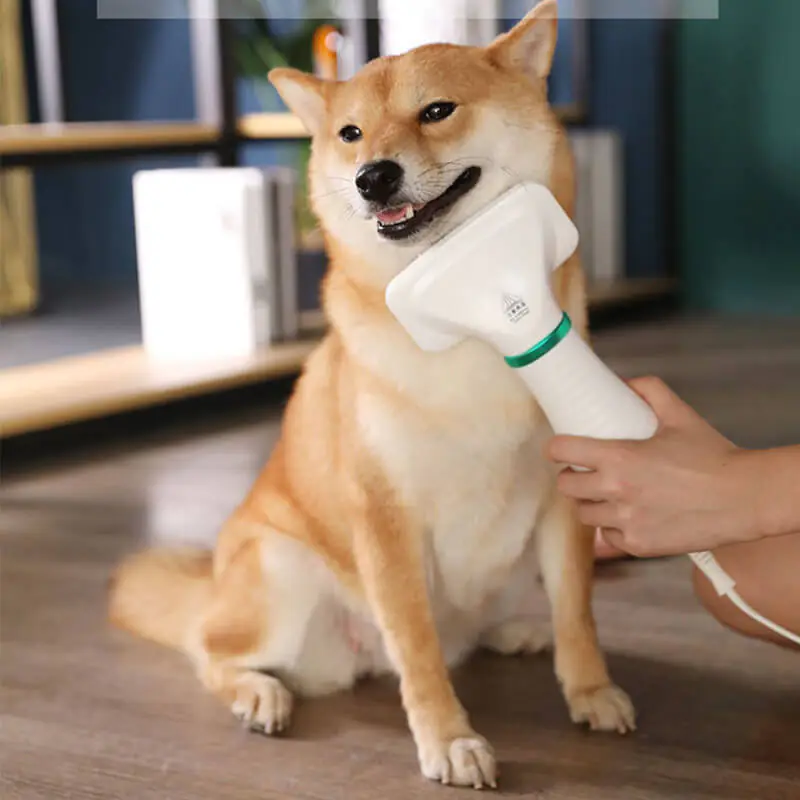 Electric Pet Grooming Dryer Cat Dog