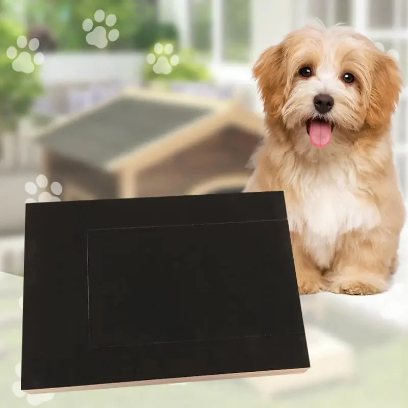Beyond Price：Sourcing Reliable Pet Products in Yiwu
